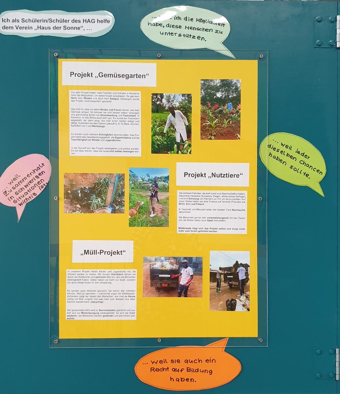 Projektwoche_06-2025 (5).jpeg