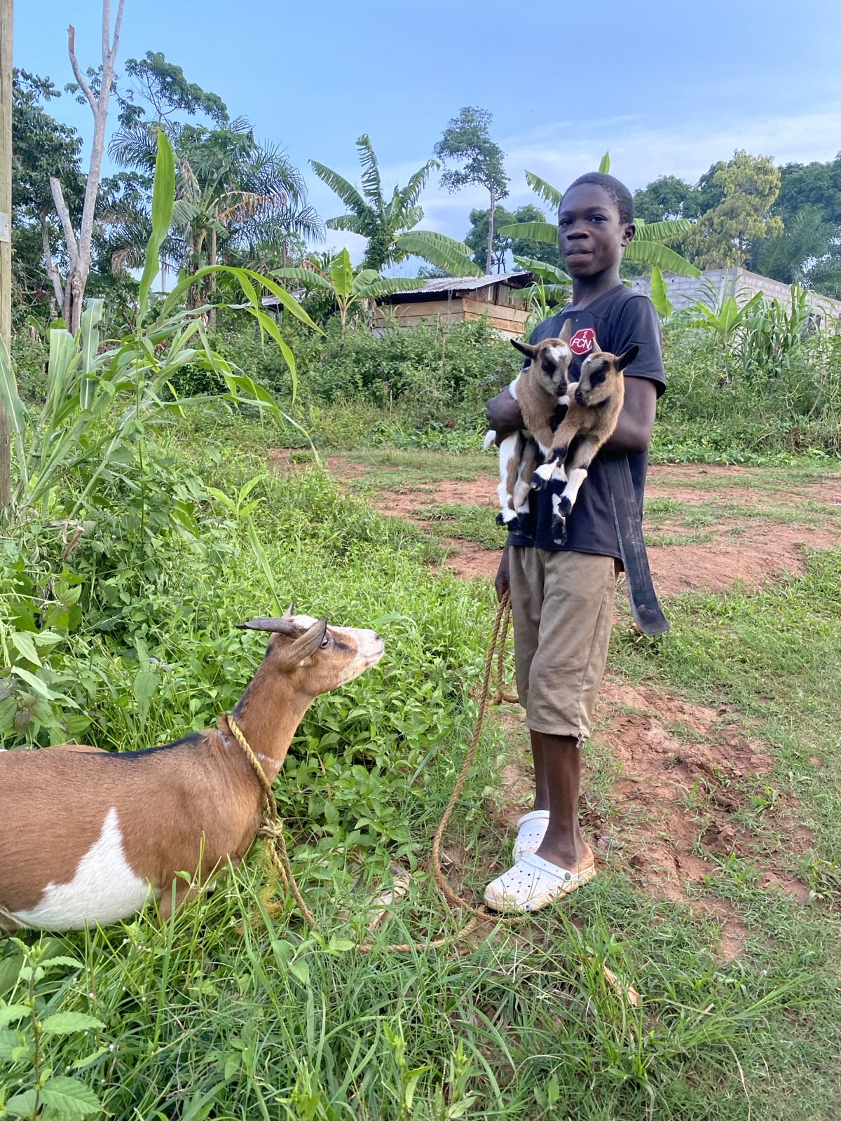 Nutztiere 2FamilienInYaounde 2025 (10).jpeg