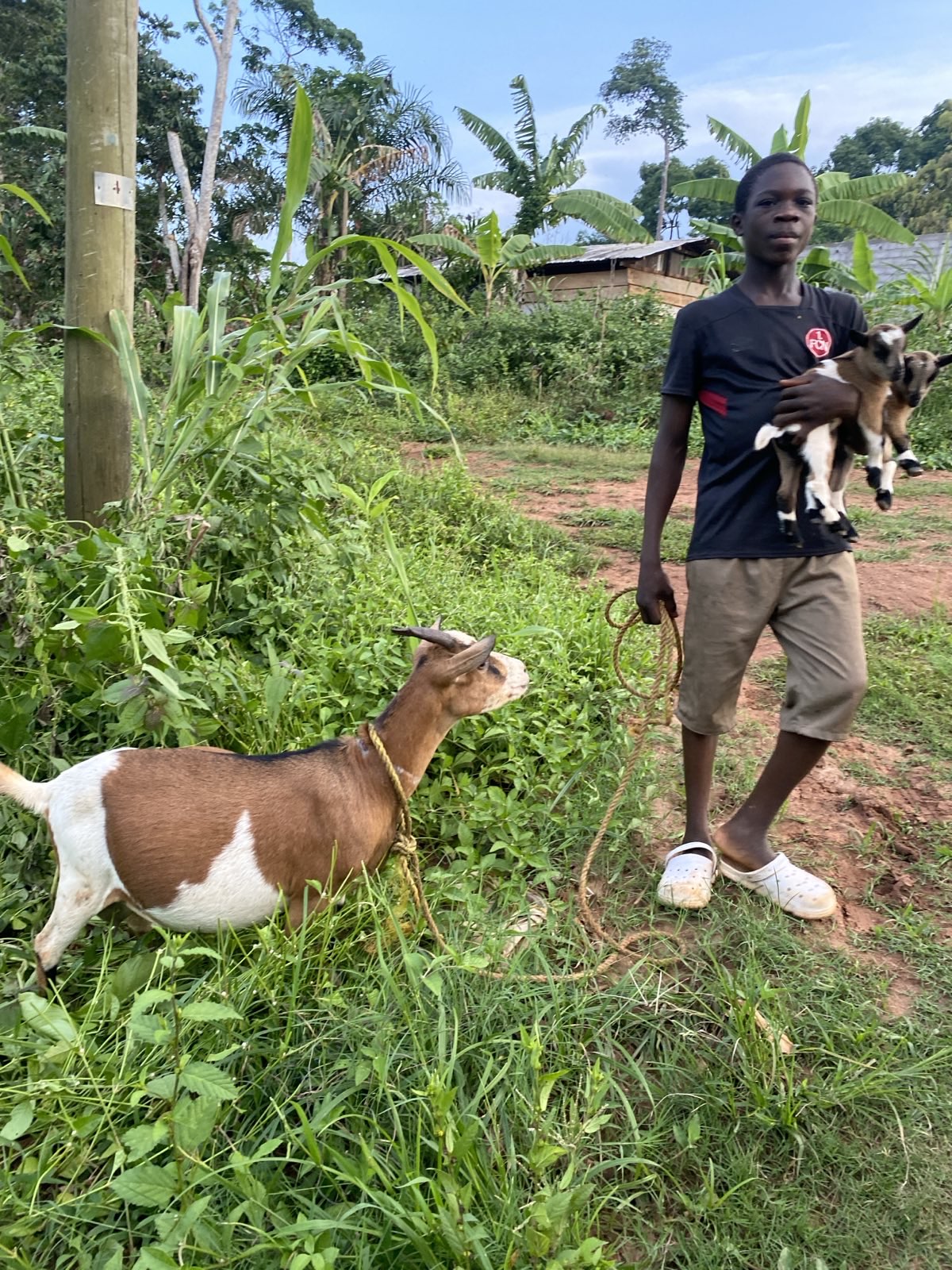 Nutztiere 2FamilienInYaounde 2025 (11).jpeg