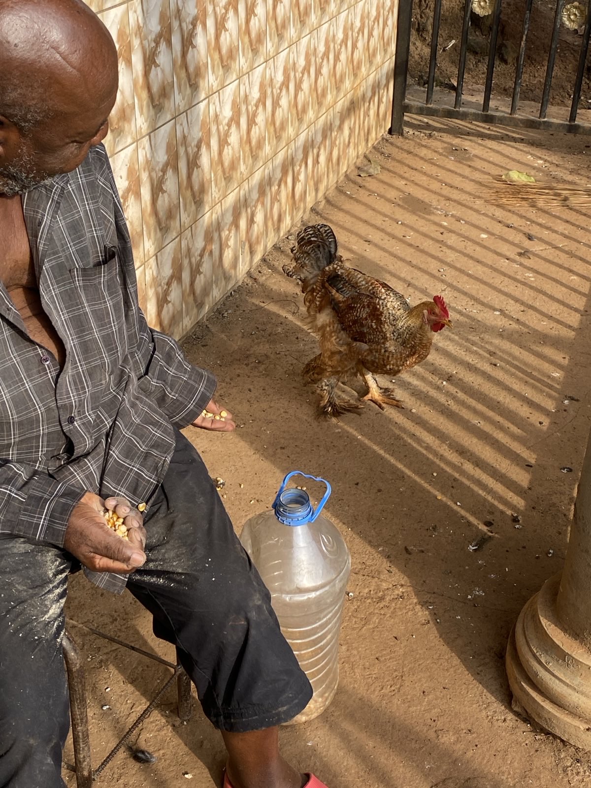 Nutztiere 2FamilienInYaounde 2025 (3).jpeg