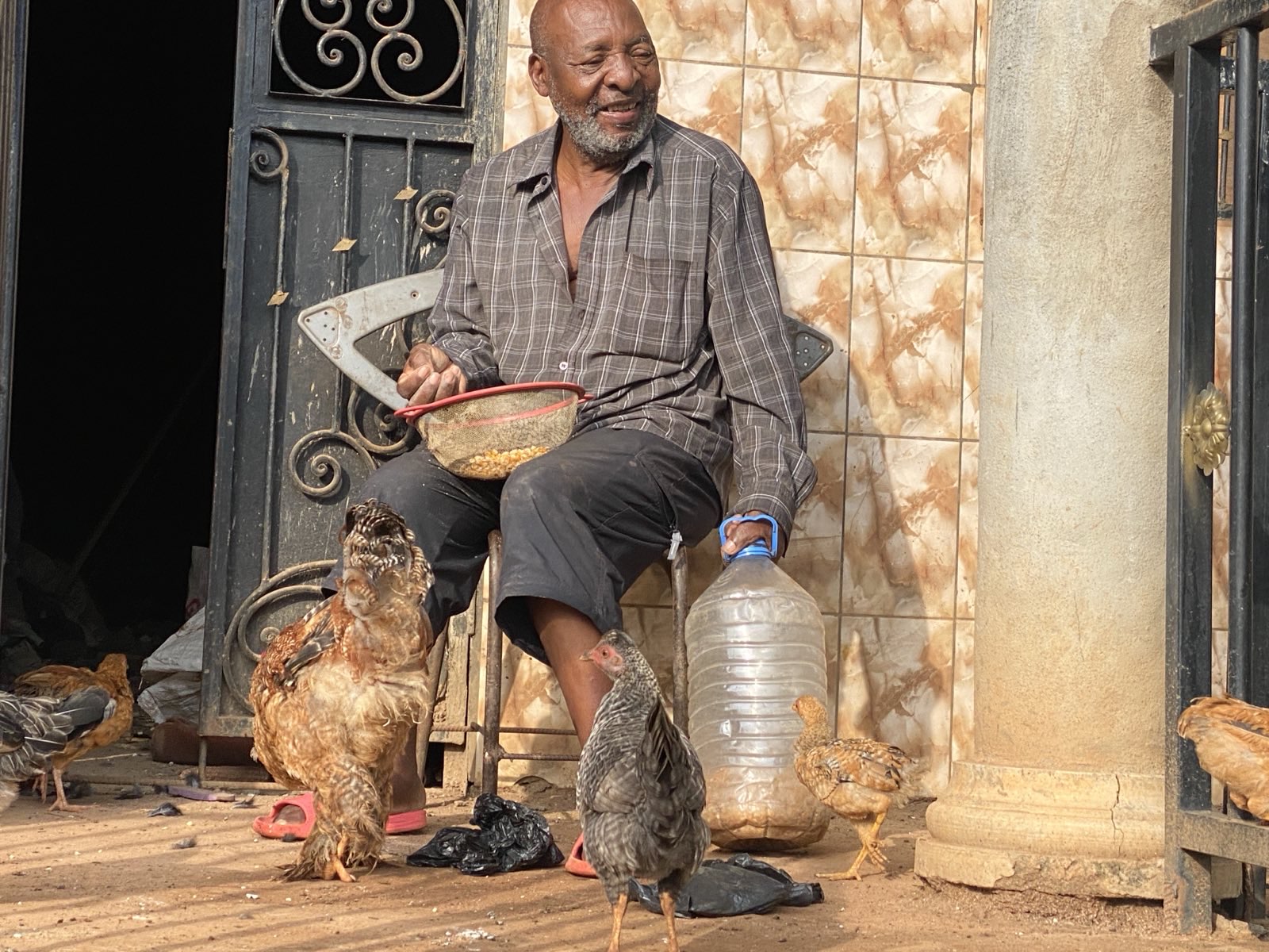 Nutztiere 2FamilienInYaounde 2025 (5).jpeg