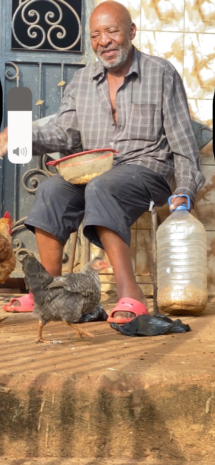 Nutztiere 2FamilienInYaounde 2025 (7).jpeg