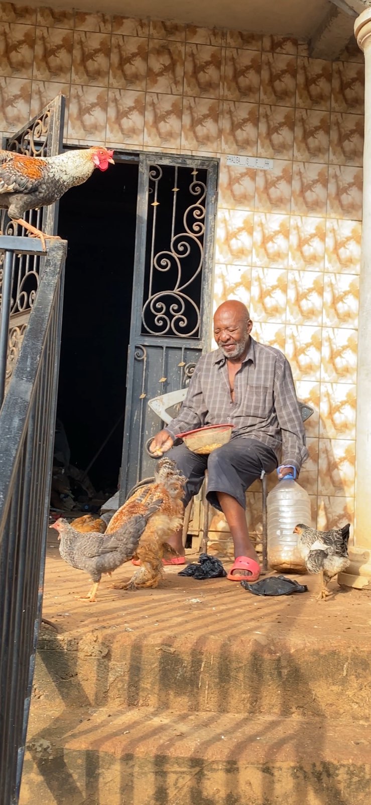 Nutztiere 2FamilienInYaounde 2025 (8).jpeg