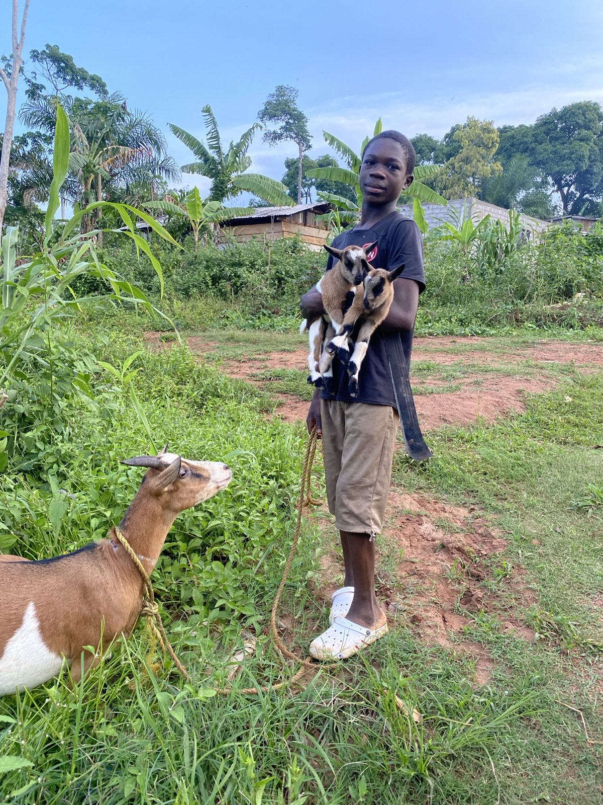 Nutztiere 2FamilienInYaounde 2025 (9).jpeg